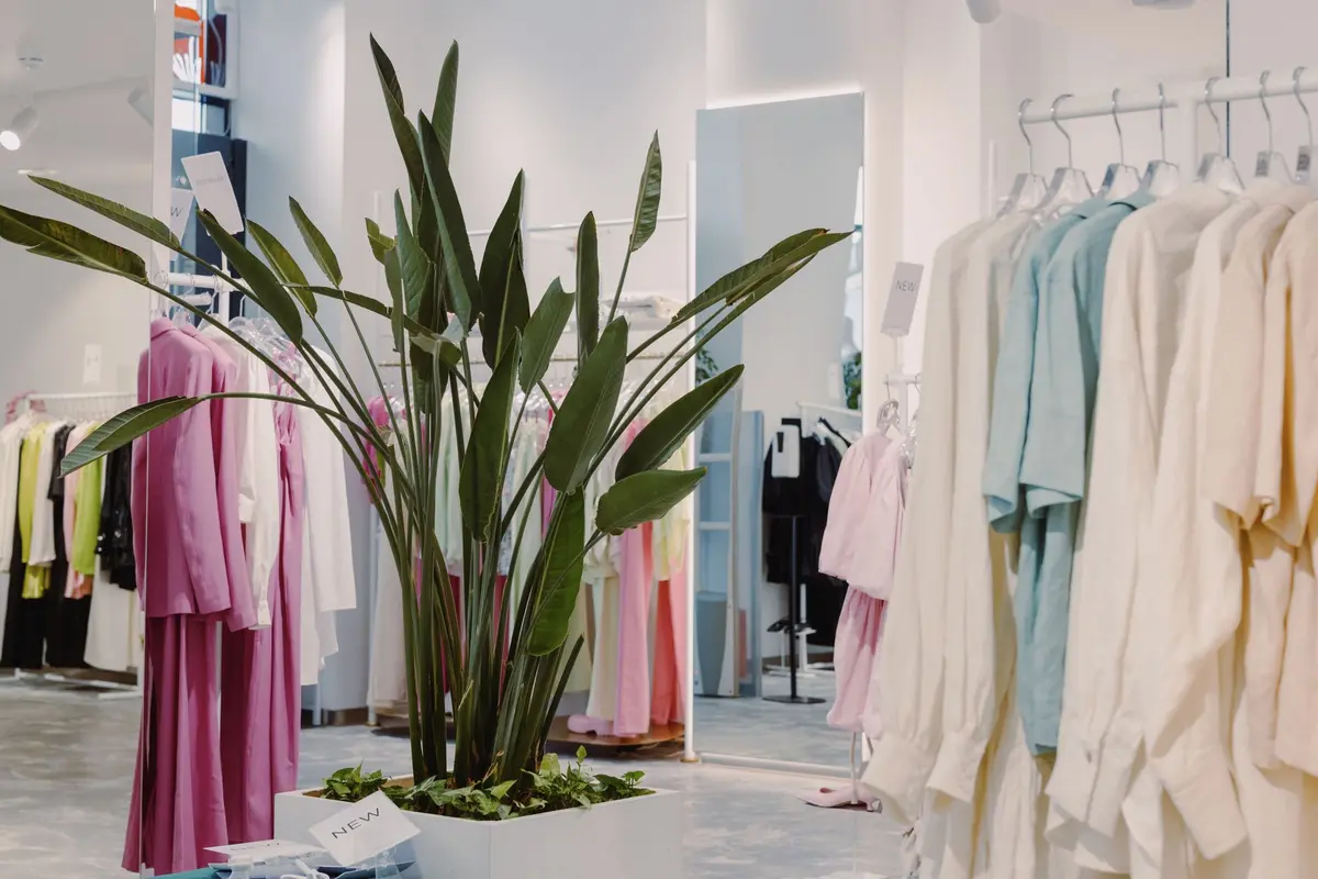 Clothing racks and a large plant in a bright store